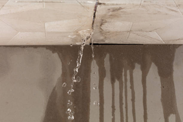 Professional Water Damage Inspection technician working in Newbury, MA